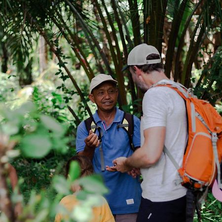 Ambow Homestay Jungle Trekking & Village Tour Bukit Lawang Εξωτερικό φωτογραφία