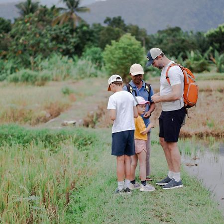 Ambow Homestay Jungle Trekking & Village Tour Bukit Lawang Εξωτερικό φωτογραφία