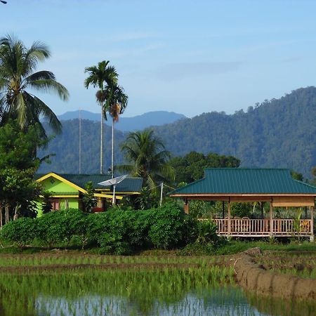 Ambow Homestay Jungle Trekking & Village Tour Bukit Lawang Εξωτερικό φωτογραφία
