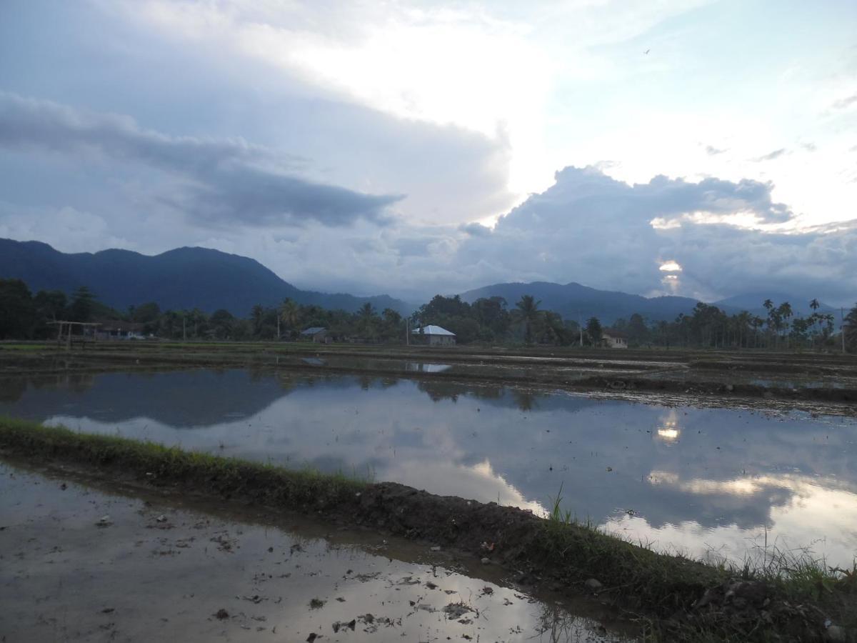 Ambow Homestay Jungle Trekking & Village Tour Bukit Lawang Εξωτερικό φωτογραφία