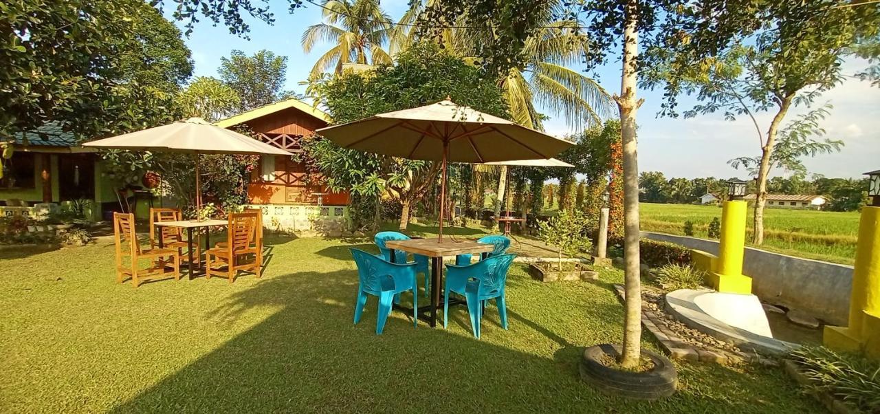 Ambow Homestay Jungle Trekking & Village Tour Bukit Lawang Εξωτερικό φωτογραφία