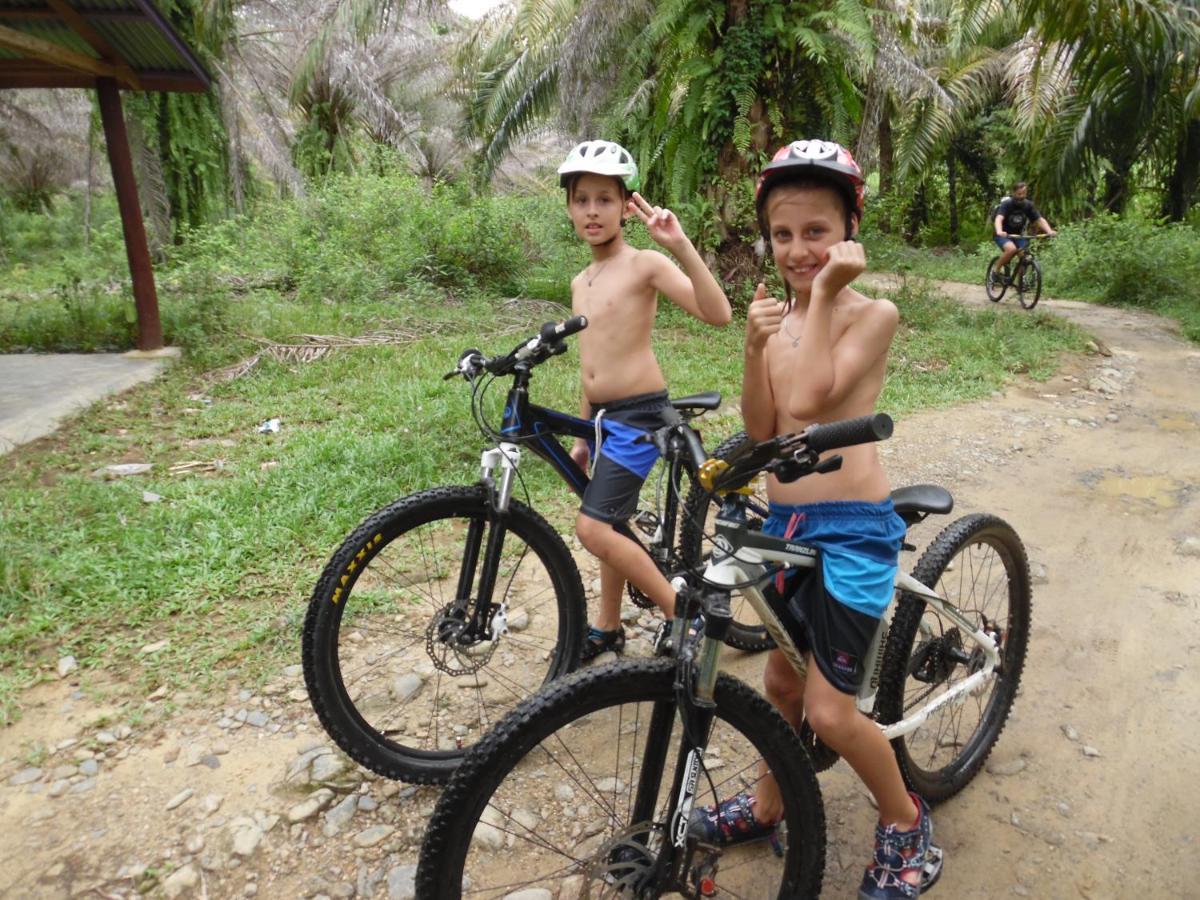 Ambow Homestay Jungle Trekking & Village Tour Bukit Lawang Εξωτερικό φωτογραφία