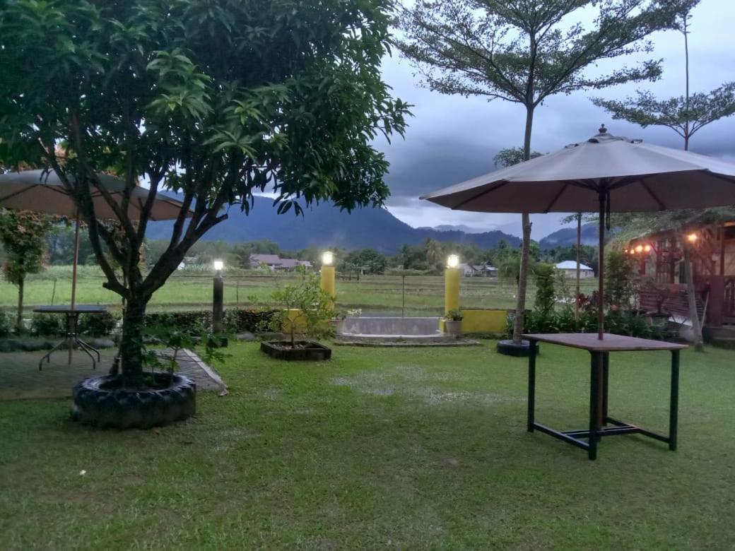 Ambow Homestay Jungle Trekking & Village Tour Bukit Lawang Εξωτερικό φωτογραφία
