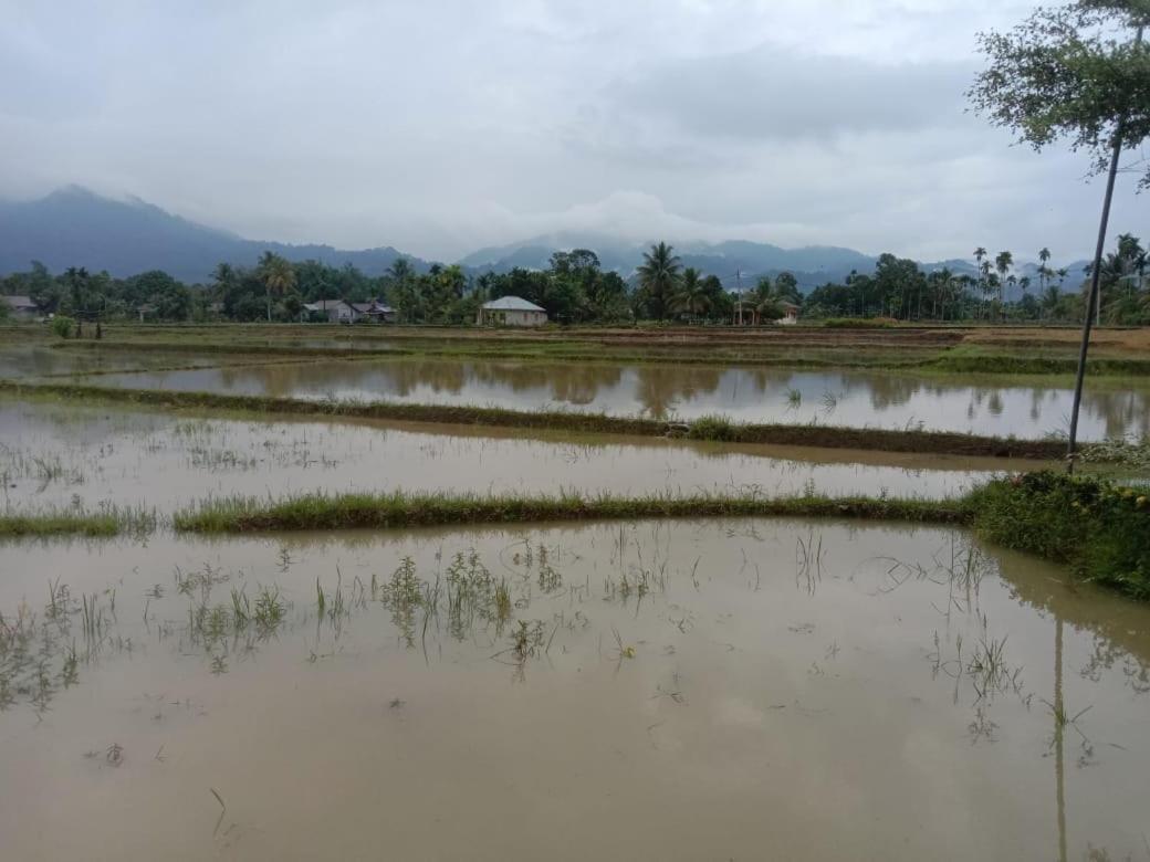 Ambow Homestay Jungle Trekking & Village Tour Bukit Lawang Εξωτερικό φωτογραφία