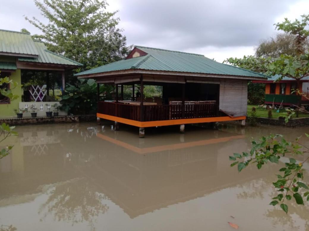 Ambow Homestay Jungle Trekking & Village Tour Bukit Lawang Εξωτερικό φωτογραφία