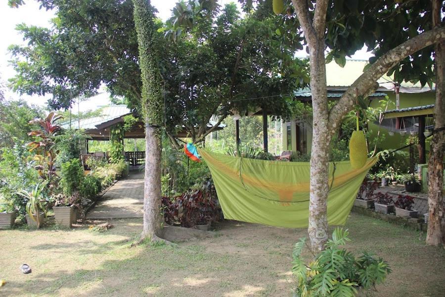 Ambow Homestay Jungle Trekking & Village Tour Bukit Lawang Εξωτερικό φωτογραφία