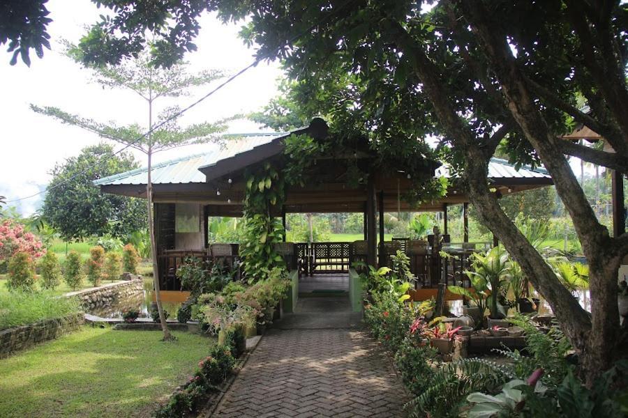 Ambow Homestay Jungle Trekking & Village Tour Bukit Lawang Εξωτερικό φωτογραφία