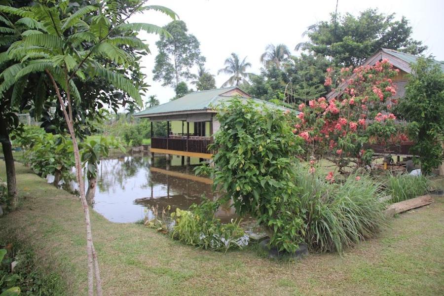 Ambow Homestay Jungle Trekking & Village Tour Bukit Lawang Εξωτερικό φωτογραφία