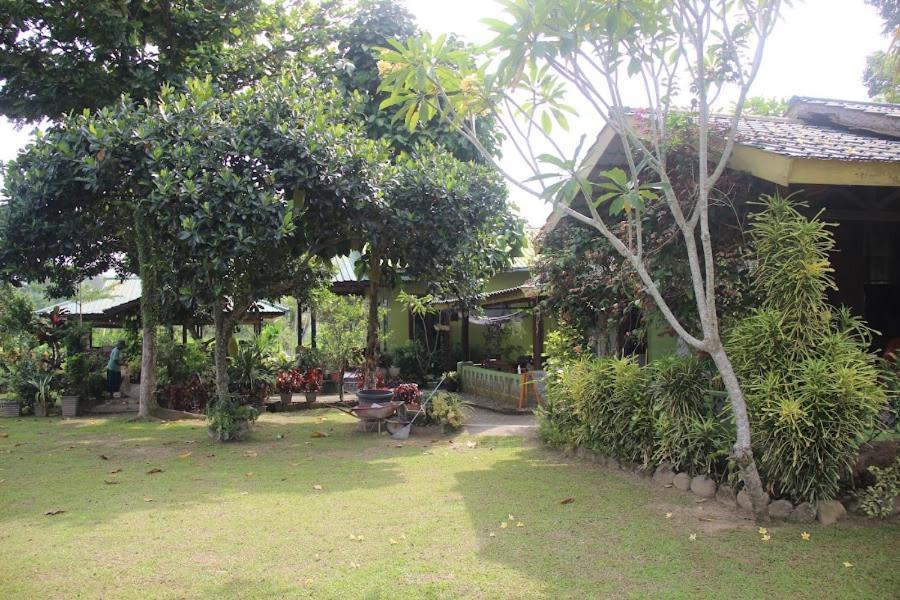 Ambow Homestay Jungle Trekking & Village Tour Bukit Lawang Εξωτερικό φωτογραφία
