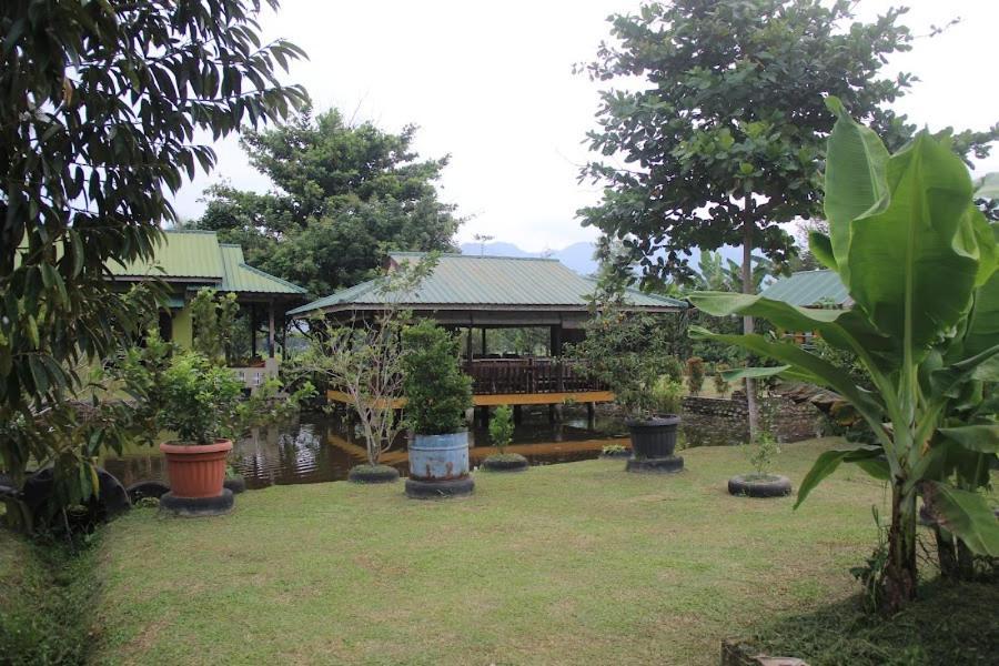 Ambow Homestay Jungle Trekking & Village Tour Bukit Lawang Εξωτερικό φωτογραφία