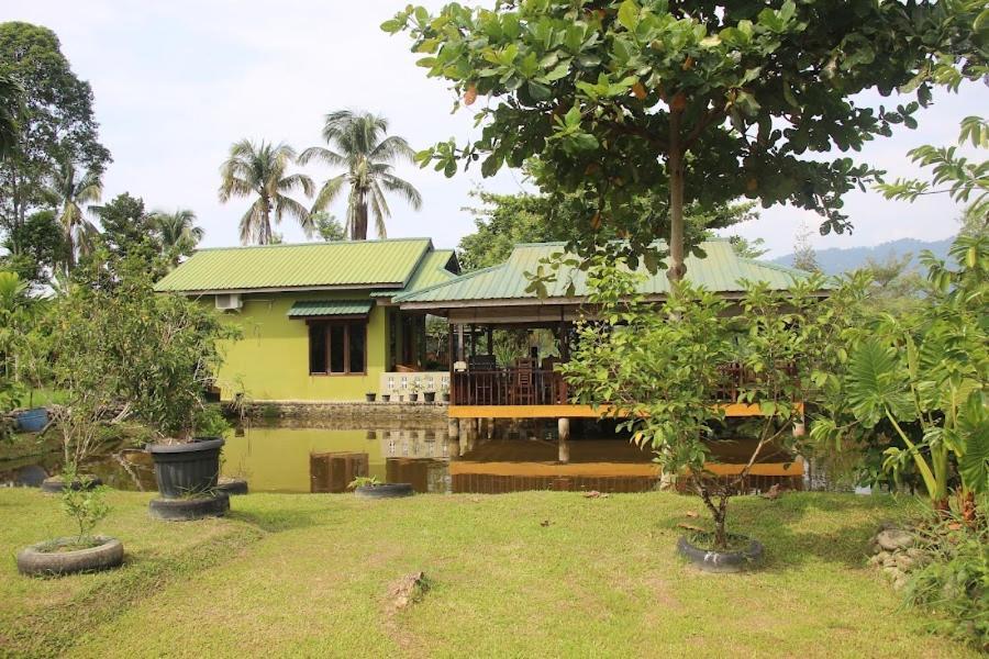 Ambow Homestay Jungle Trekking & Village Tour Bukit Lawang Εξωτερικό φωτογραφία