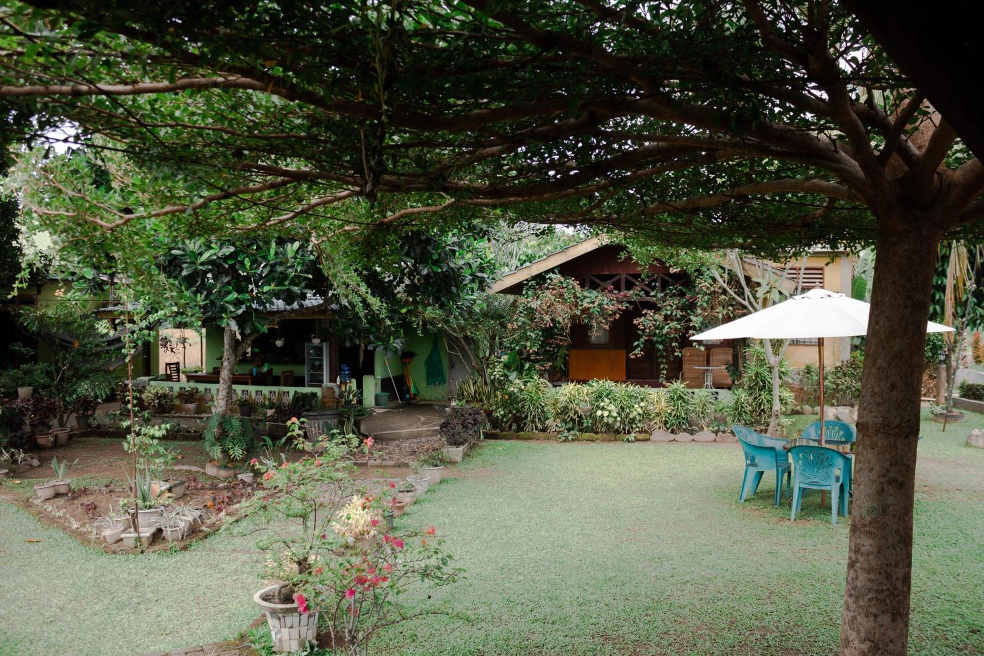 Ambow Homestay Jungle Trekking & Village Tour Bukit Lawang Εξωτερικό φωτογραφία