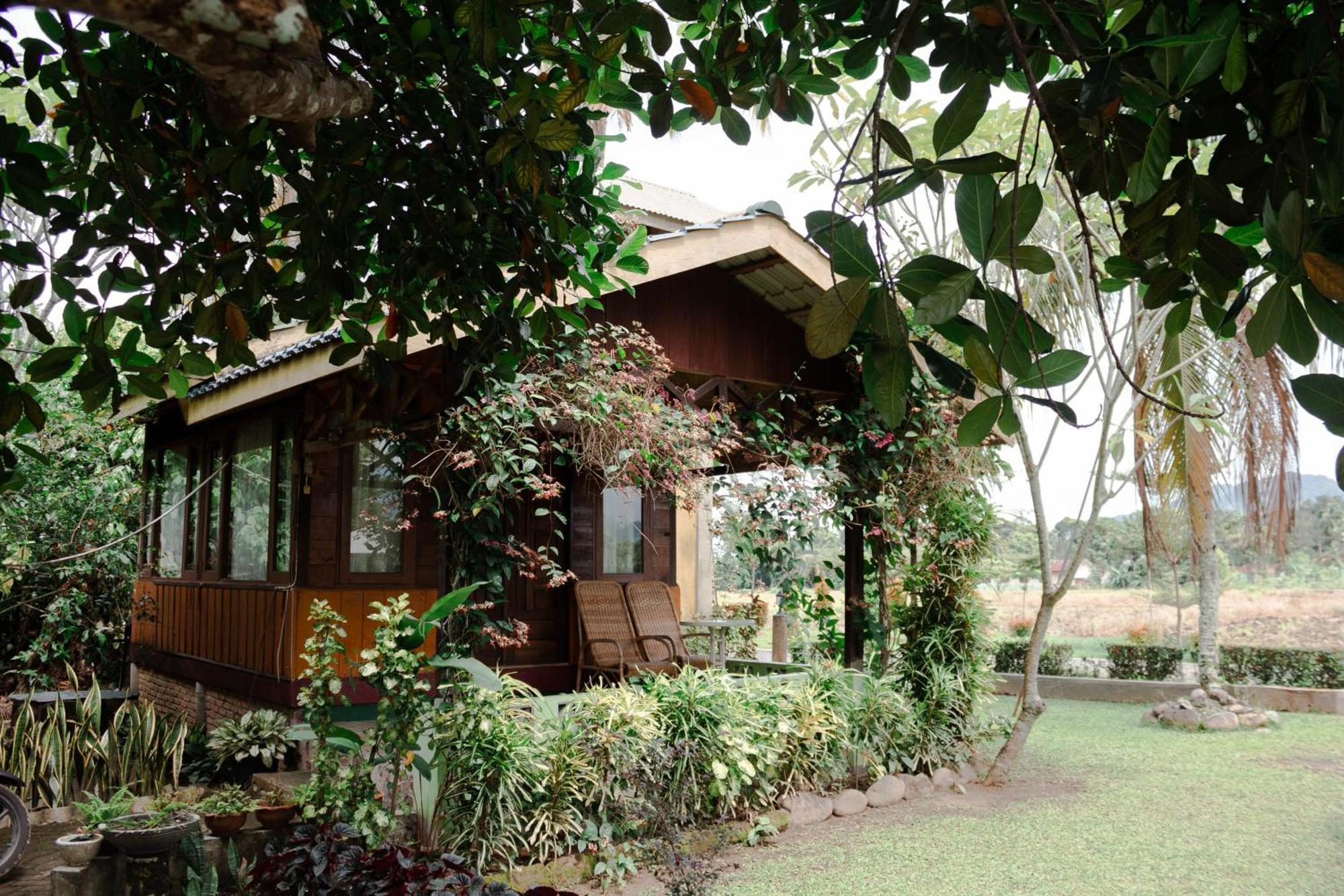 Ambow Homestay Jungle Trekking & Village Tour Bukit Lawang Εξωτερικό φωτογραφία