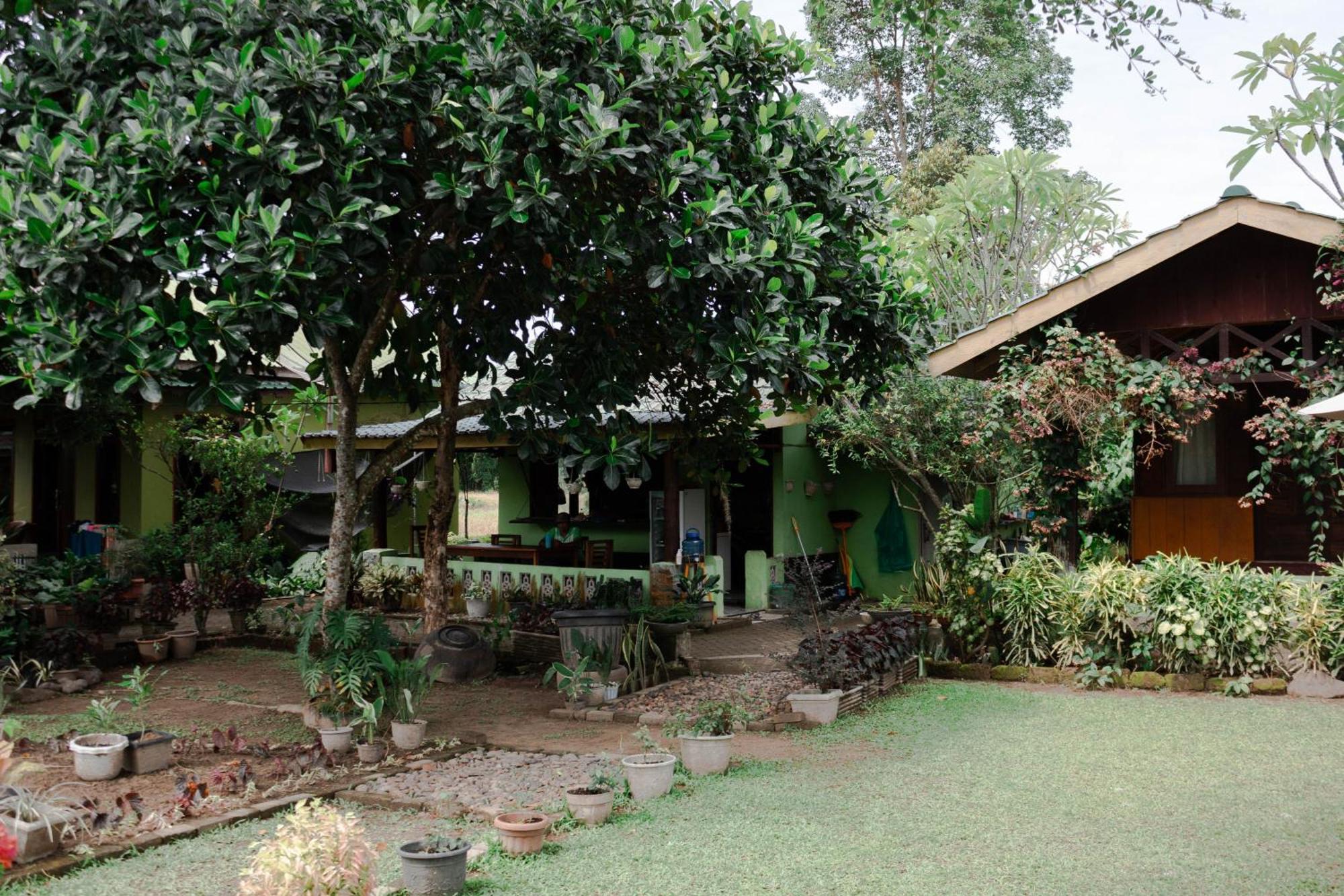 Ambow Homestay Jungle Trekking & Village Tour Bukit Lawang Εξωτερικό φωτογραφία