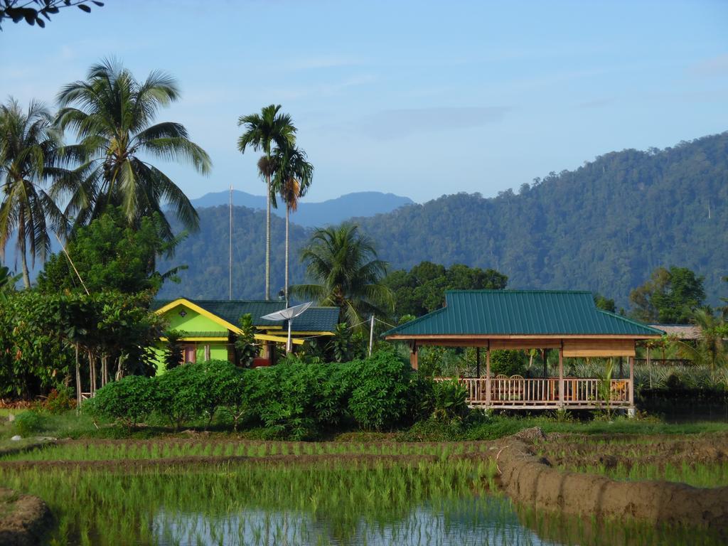 Ambow Homestay Jungle Trekking & Village Tour Bukit Lawang Εξωτερικό φωτογραφία