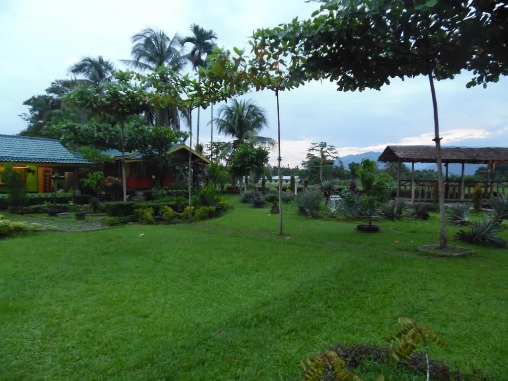 Ambow Homestay Jungle Trekking & Village Tour Bukit Lawang Εξωτερικό φωτογραφία