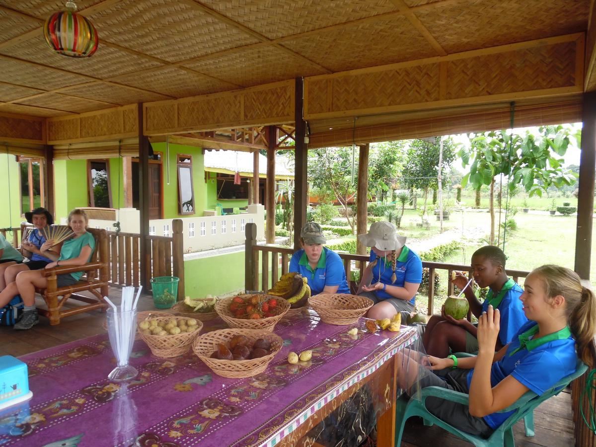 Ambow Homestay Jungle Trekking & Village Tour Bukit Lawang Εξωτερικό φωτογραφία