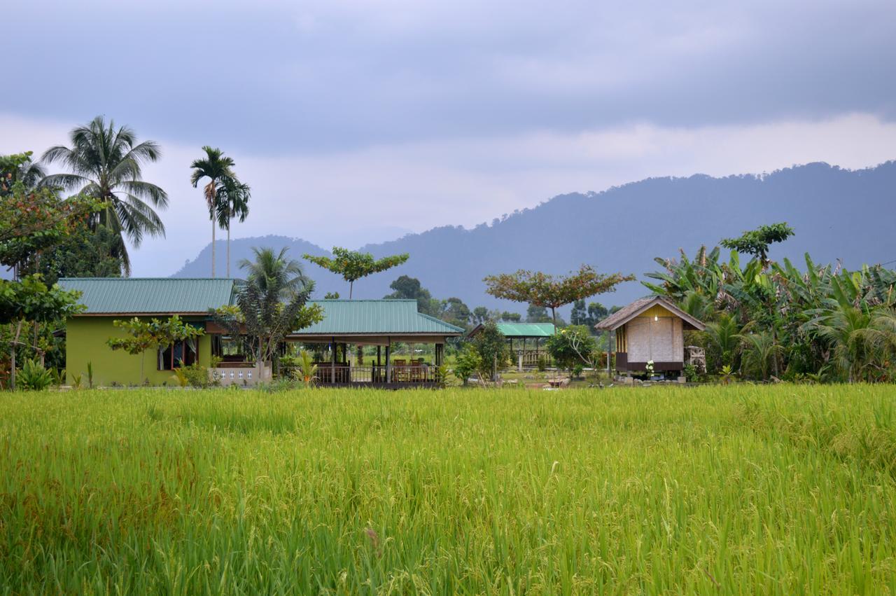 Ambow Homestay Jungle Trekking & Village Tour Bukit Lawang Εξωτερικό φωτογραφία