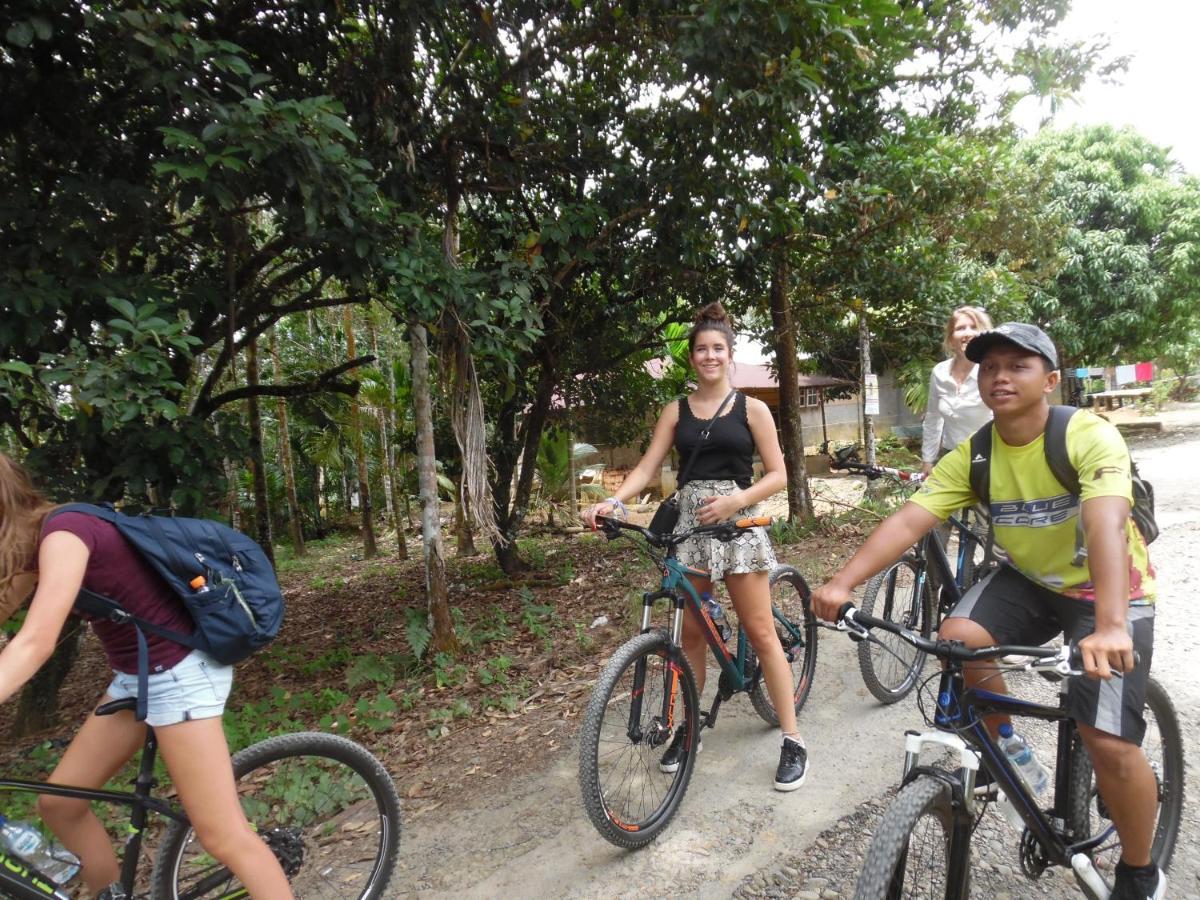 Ambow Homestay Jungle Trekking & Village Tour Bukit Lawang Εξωτερικό φωτογραφία