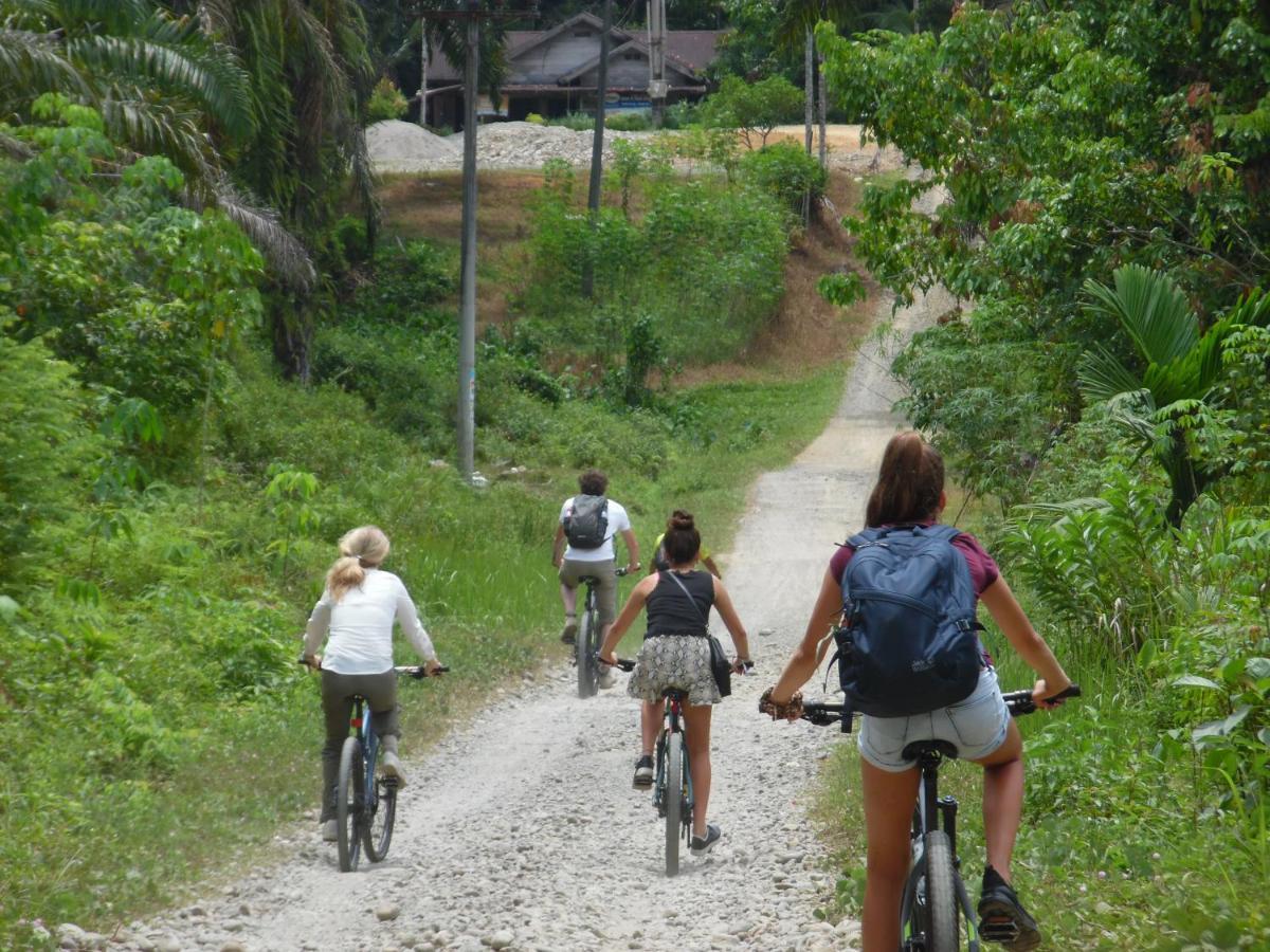 Ambow Homestay Jungle Trekking & Village Tour Bukit Lawang Εξωτερικό φωτογραφία