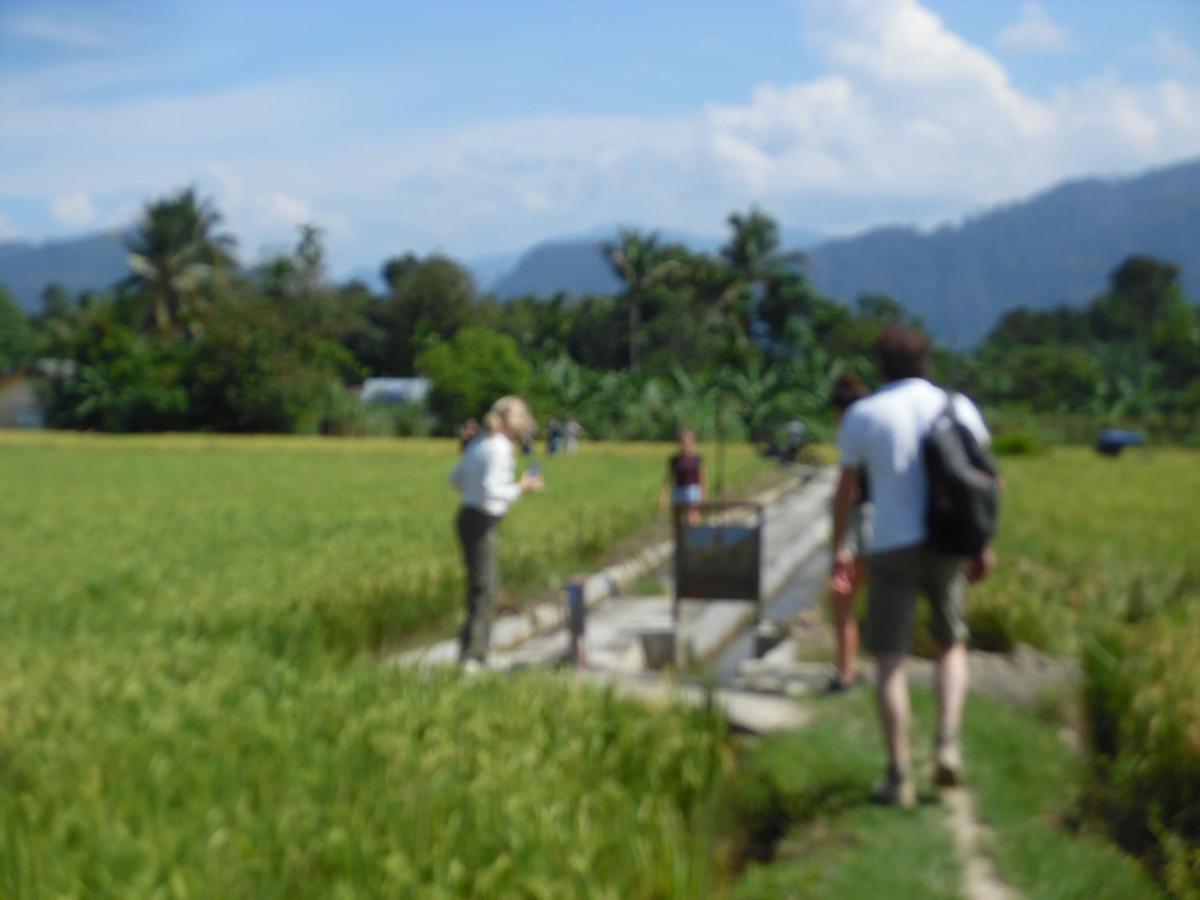 Ambow Homestay Jungle Trekking & Village Tour Bukit Lawang Εξωτερικό φωτογραφία