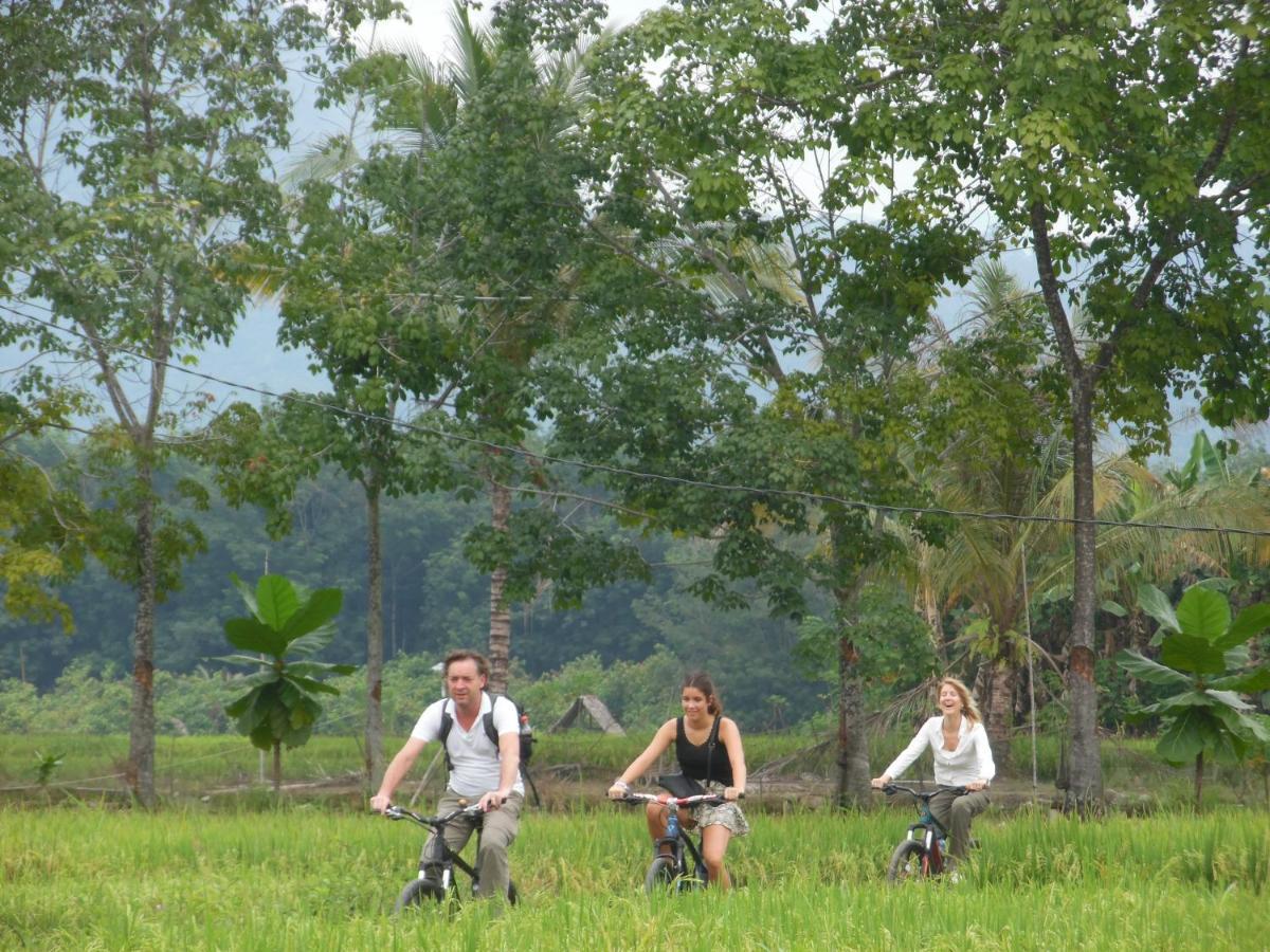 Ambow Homestay Jungle Trekking & Village Tour Bukit Lawang Εξωτερικό φωτογραφία