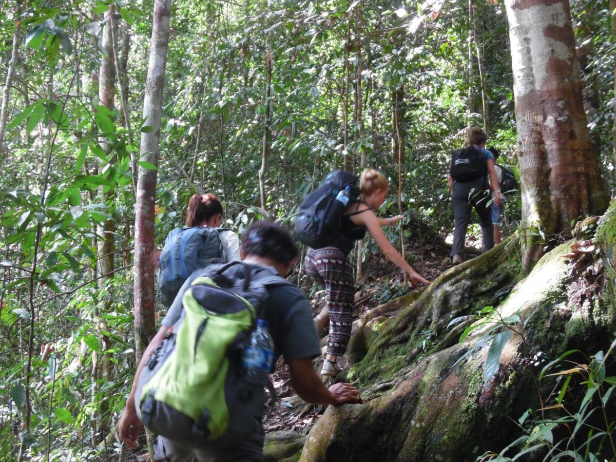 Ambow Homestay Jungle Trekking & Village Tour Bukit Lawang Εξωτερικό φωτογραφία