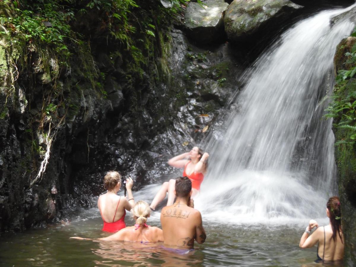 Ambow Homestay Jungle Trekking & Village Tour Bukit Lawang Εξωτερικό φωτογραφία