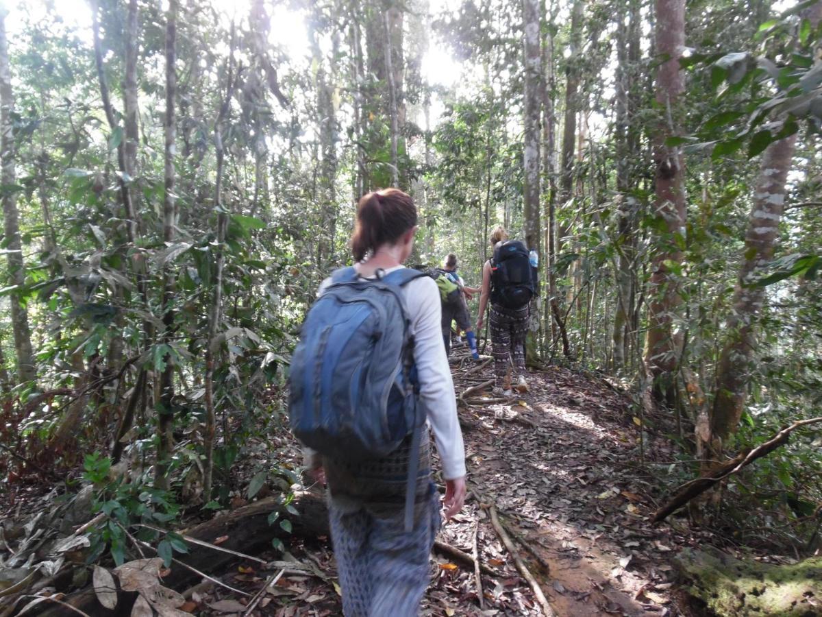 Ambow Homestay Jungle Trekking & Village Tour Bukit Lawang Εξωτερικό φωτογραφία