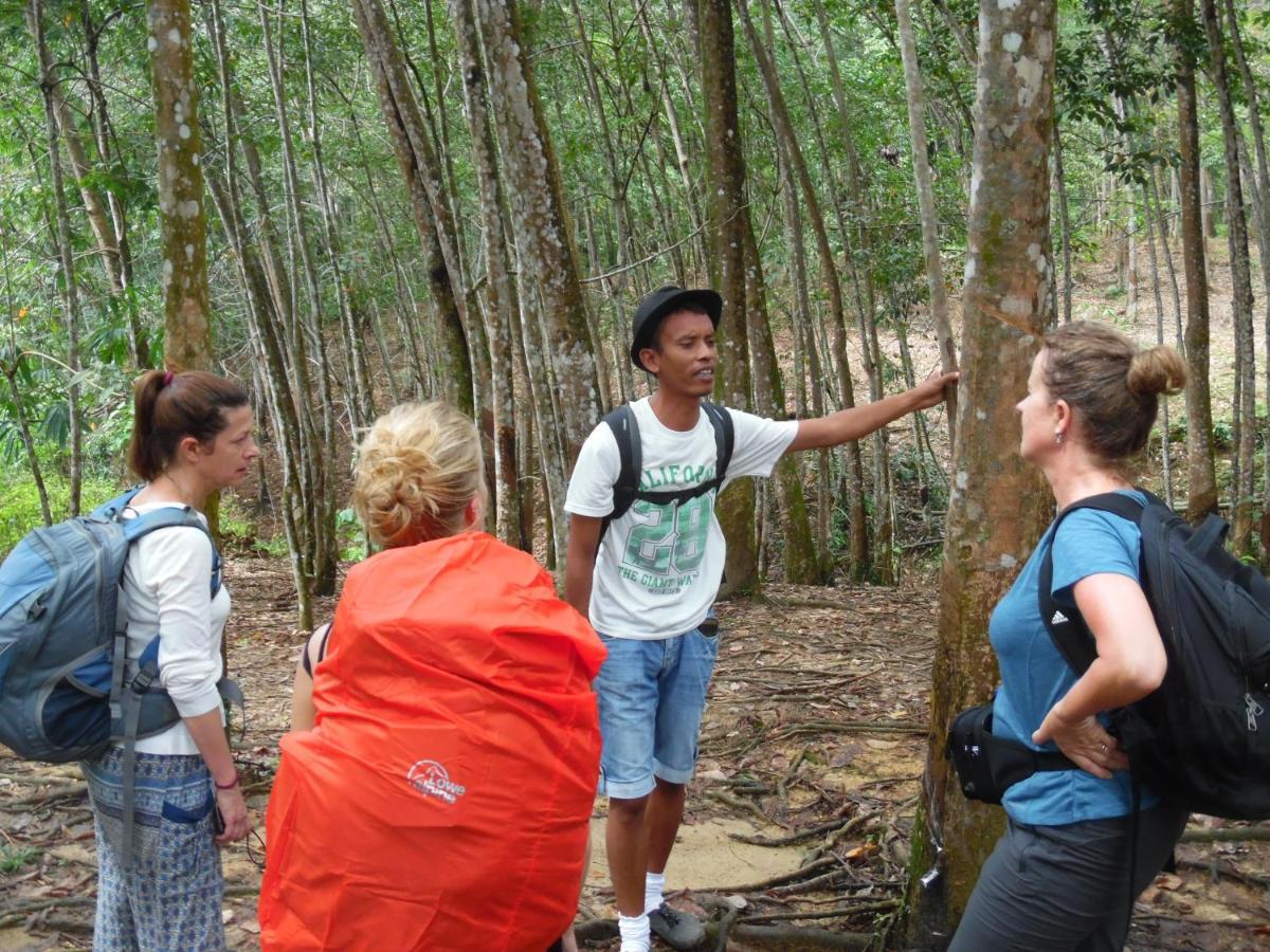 Ambow Homestay Jungle Trekking & Village Tour Bukit Lawang Εξωτερικό φωτογραφία
