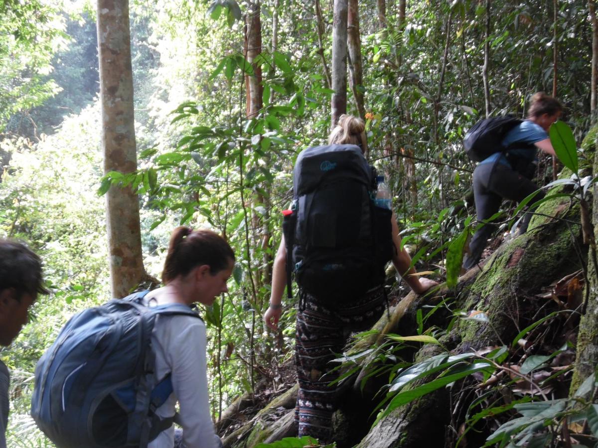 Ambow Homestay Jungle Trekking & Village Tour Bukit Lawang Εξωτερικό φωτογραφία