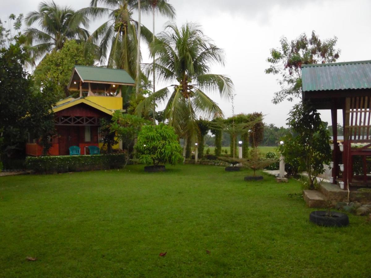 Ambow Homestay Jungle Trekking & Village Tour Bukit Lawang Εξωτερικό φωτογραφία