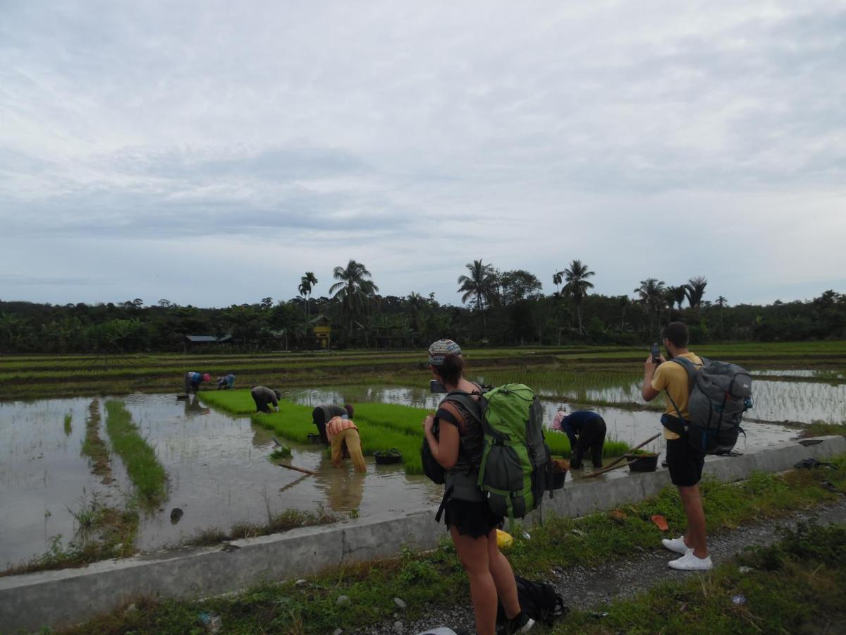 Ambow Homestay Jungle Trekking & Village Tour Bukit Lawang Εξωτερικό φωτογραφία